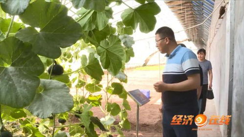 最美科技工作者 砥志研思的邱鵬程，信息技術(shù)領(lǐng)域的技術(shù)開發(fā)先鋒